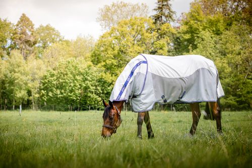 Amigo Airflow Fly Sheet - Blue Check/Atlantic Blue/Ivory