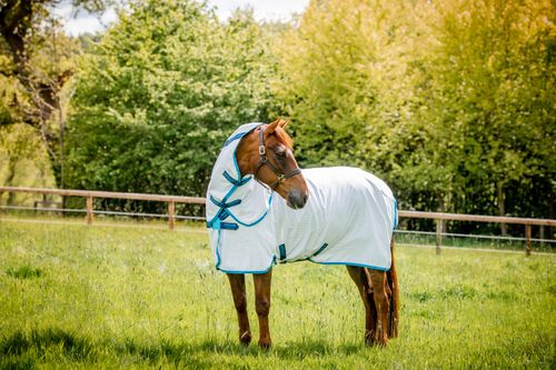 Amigo Summer Sheet Plus - Navy Check/Electric Blue/Navy
