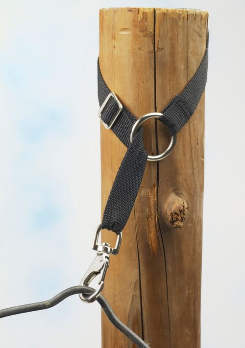 Equi-Essentials Adjustable Portable Bucket Hanger