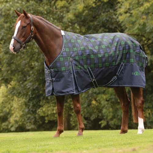 Saxon 1200D w/Gusset Standard Neck Lite II - Blackwatch Plaid