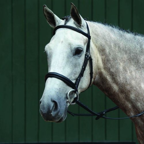 Collegiate Essential Padded Raised Cavesson Bridle - Black