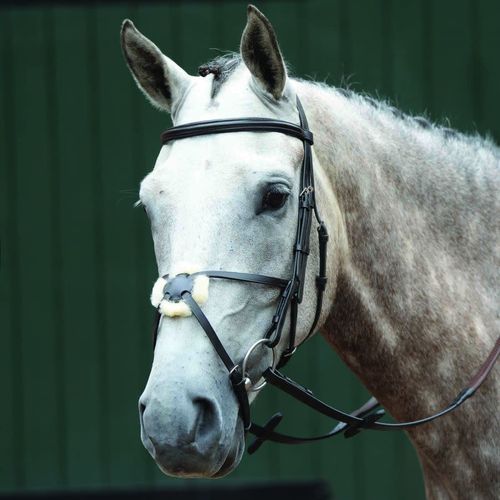 Collegiate Essential Padded Raised Figure 8 Bridle - Black