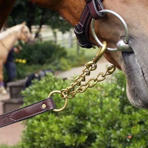 Nunn Finer Newmarket Shank - Havana
