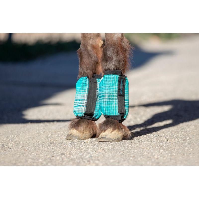 Kensington fly outlet boots