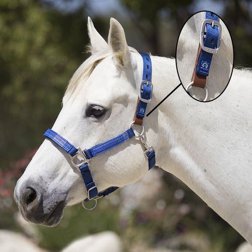 Kensington Premium Breakaway Halter - Kentucky Blue