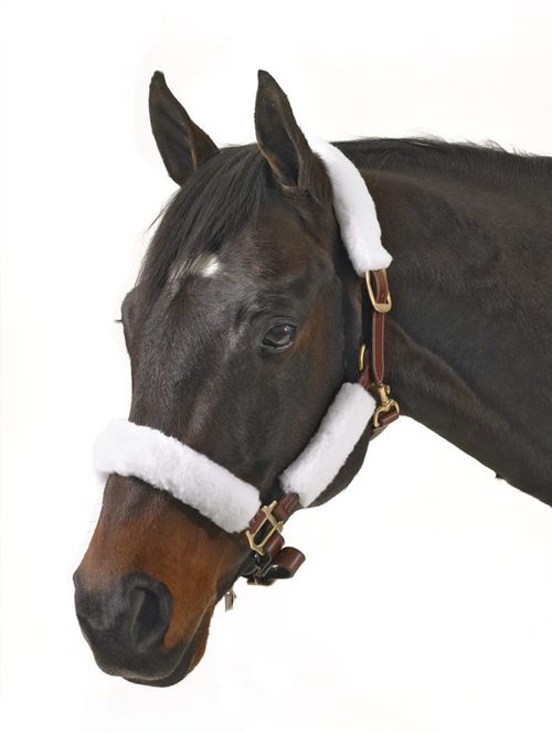 Equi-Essentials Synthetic Fleece Halter Tube Kit 4pc - White