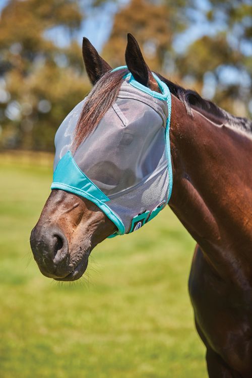 Weatherbeeta Comfitec Deluxe Fine Mesh Mask - Grey/Turquoise