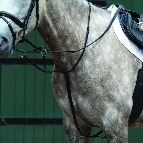 Collegiate Essential Plain Flat Running Martingale - Black