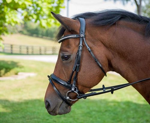 Henri de Rivel Diamonte Dressage Bridle - Black