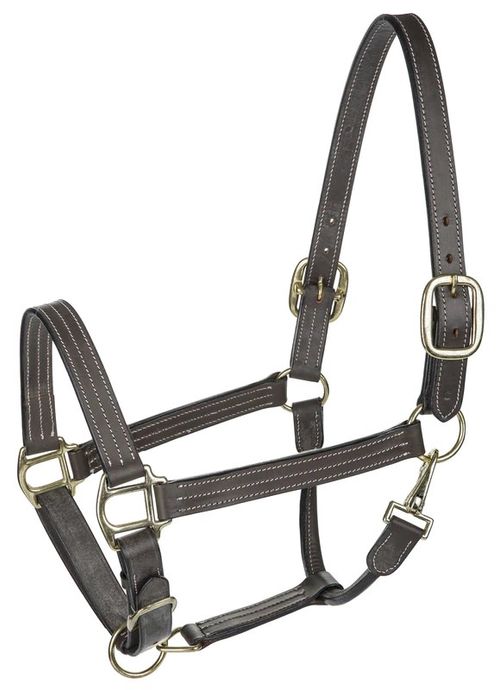 Henri de Rivel Triple Stitched Halter - Havana