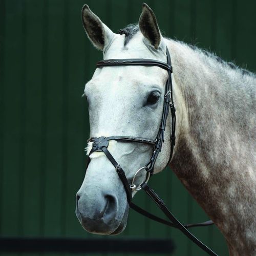 Collegiate Essential Padded Raised Fancy Stitched Figure 8 Bridle - Brown