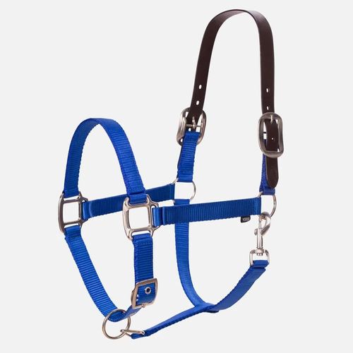 Equinavia Loki  Breakaway Halter - Royal Blue