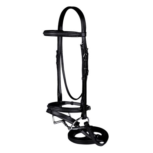 Passport Raised and Padded Bridle w/Flash - Black