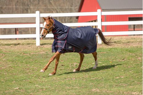 TuffRider 1200 D Comfy Detachable Neck Winter Turnout Blanket 200g - Navy