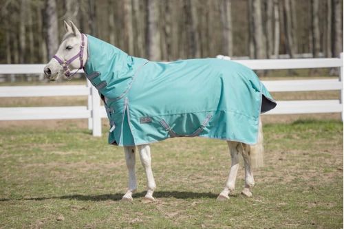 TuffRider 1200 D Comfy Detachable Neck Winter Turnout Blanket 200g - Turquoise