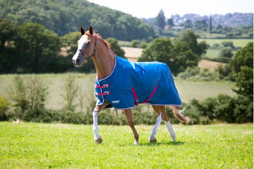 Shires Tempest Original Lite Turnout - Teal