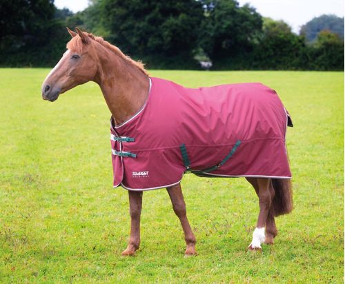 Shires Highlander Mini Turnout - Maroon