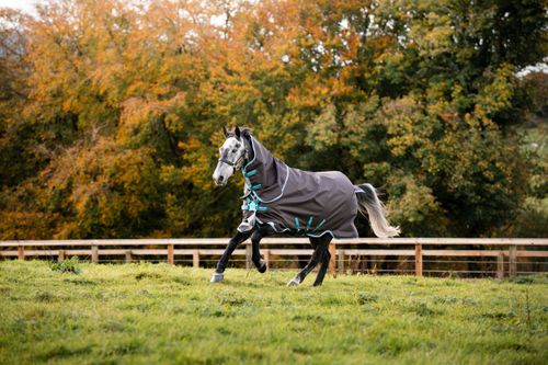 Amigo Bravo 12 Plus Disc Closure Turnout 250g- Excalibur/Blue/Black - Excalibur/Aqua/Turquoise
