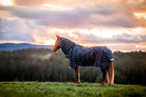 Rhino Plus Reflectech w/VariLayer 250g - Navy Reflective/Indigo