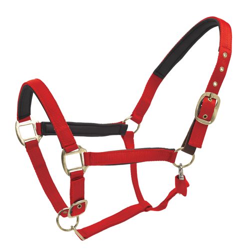 Centaur Super Comfort Halter - Red
