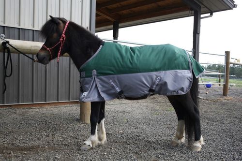 TuffRider Mini 1200D Ripstop Two Tone Standard Neck Turnout Blanket 200g - Hunter/Grey