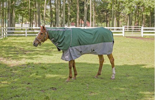 TuffRider Bonum 1200D Detachable Neck Two Tone Turnout Blanket 200g - Hunter/Grey
