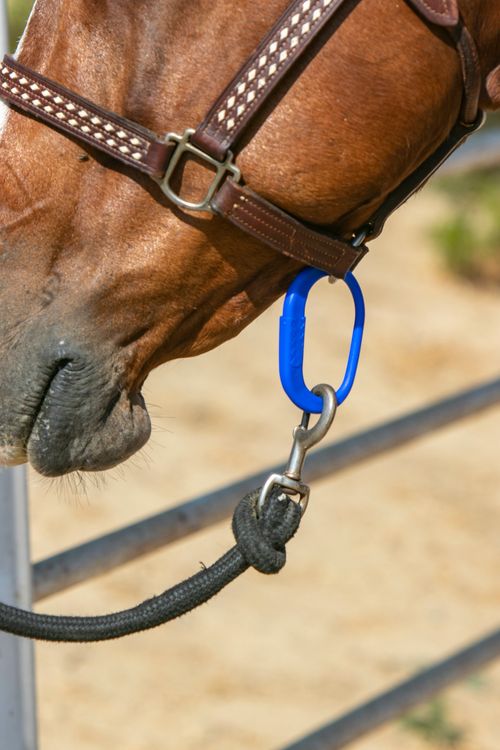 READY TO SHIP: Kensington Safe-T-Tie (2 pack) - One Size - Dark Blue