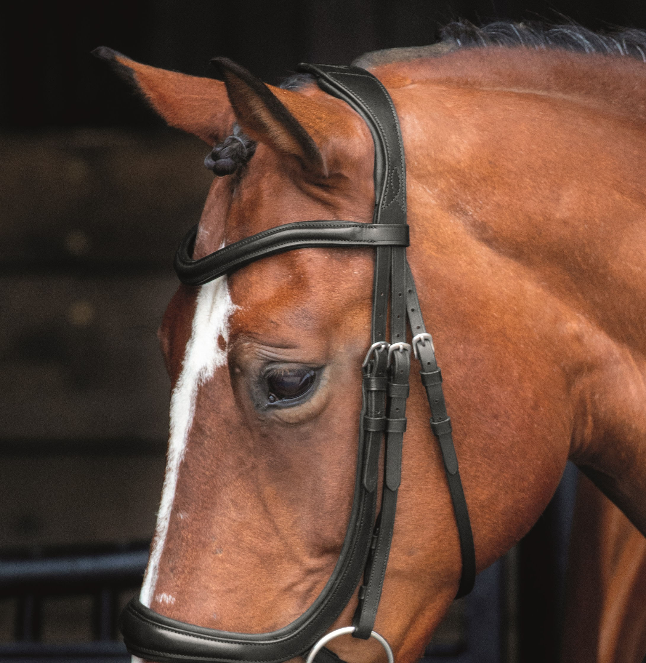 Shires Velociti RAPIDA Hunter Kappzaum Trense