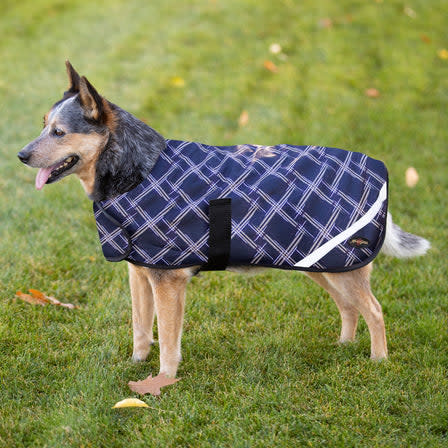 Kensington Signature Dog Coat - Deluxe Black