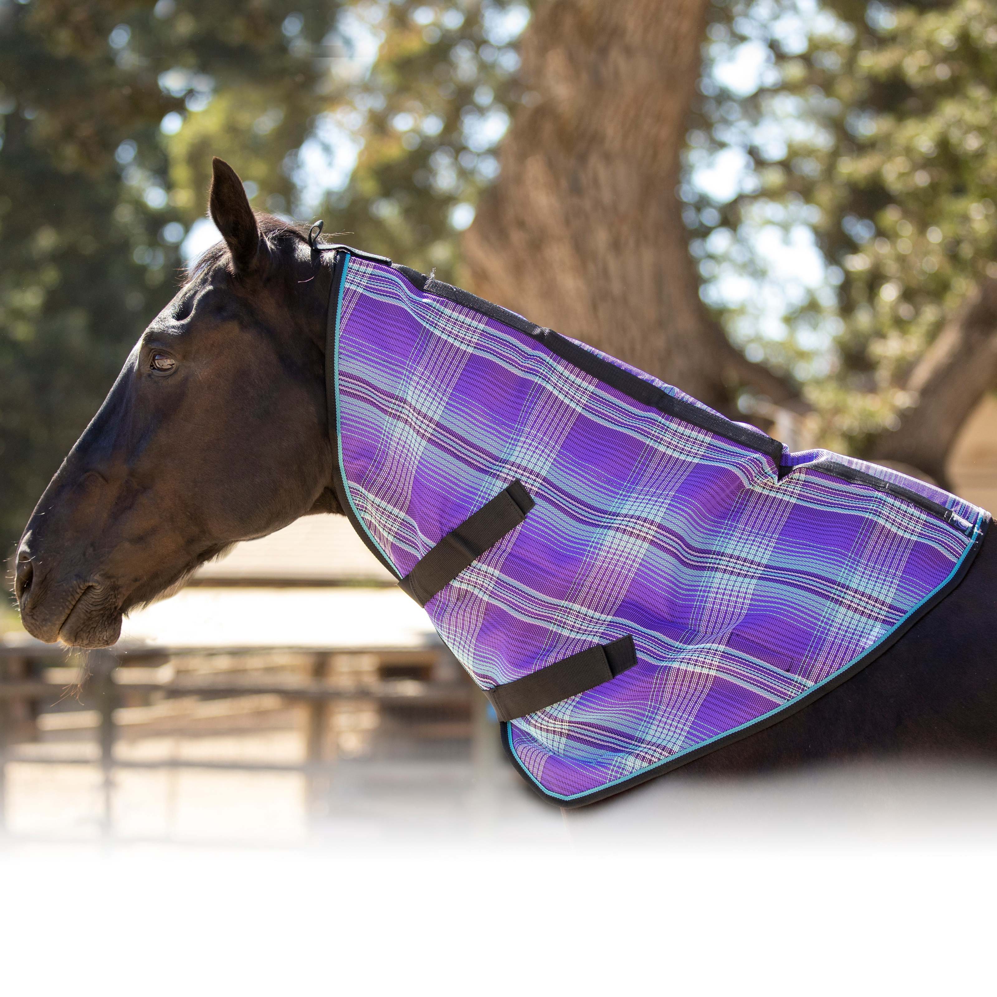 Kensington SureFit Protective Pony Sheet, Deluxe Black, 57 In
