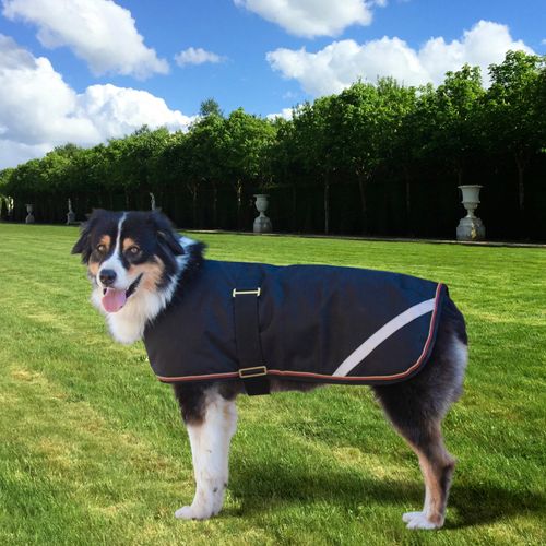 Kensington Signature Dog Coat - Black
