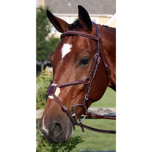 Nunn Finer Milano Bridle - Havana