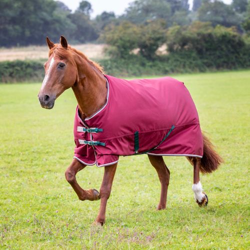 Shires Highlander Plus 100G Standard Neck Turnout - Maroon