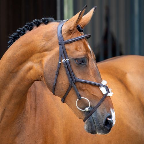 Shires Velociti Lusso Grackle Bridle - Havana