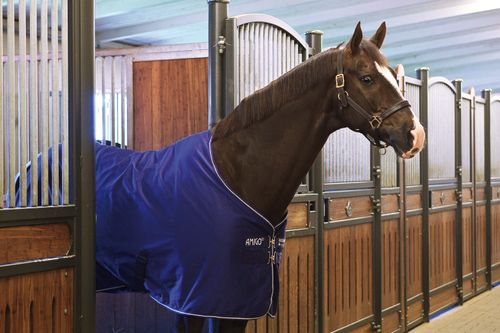 Amigo Polyester Stable Sheet - Atlantic Blue/Atlantic Blue/Ivory