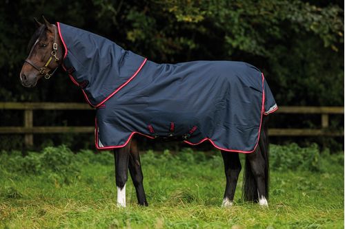 Amigo Bravo 12 Pony Plus Heavy - Navy/Red/Blue