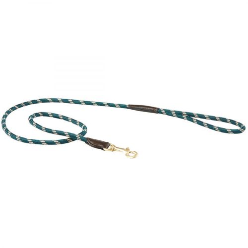 BARN BUSTER: Weatherbeeta Rope Leather Dog Lead - Medium - Hunter Green/Brown