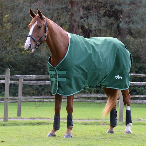 Saxon Defiant 1200D Standard Neck Medium - Hunter Green/White
