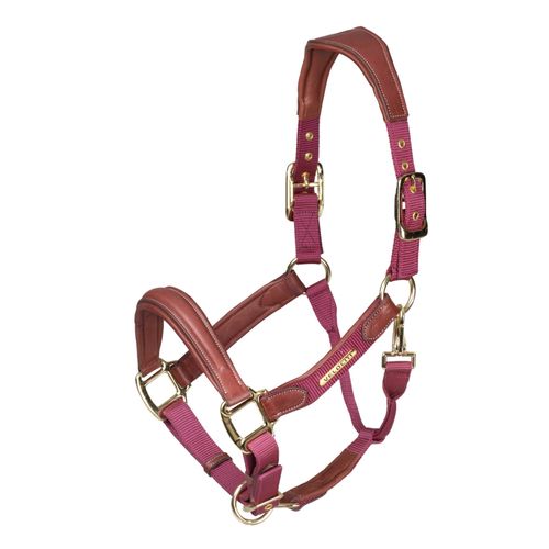 Shires Velociti Lusso Leather Breakaway Padded Halter - Burgundy