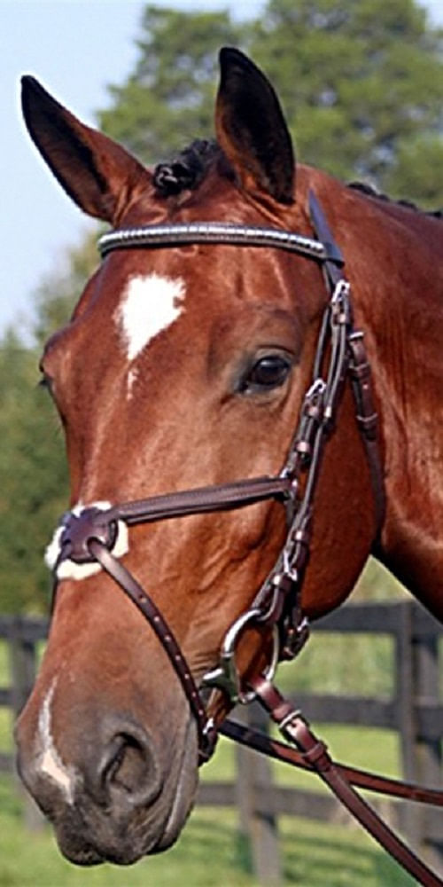 SALE RACK: Nunn Finer Figure 8 Clincher Browband Padded Event Bridle - Cob - Black/Zinc