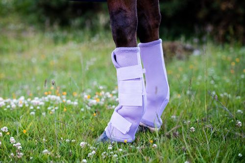 READY TO SHIP: Amigo Flyboots - Horse - Lavender