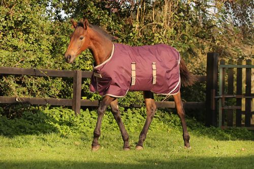 READY TO SHIP: Amigo Foal Ripstop Turnout 200g - 36 - Fig/Navy/Tan