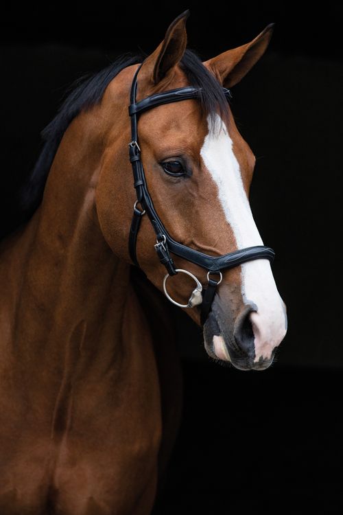 READY TO SHIP: Rambo Micklem Original Deluxe Competition Bridle - Pony - Black