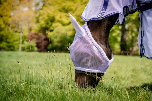 READY TO SHIP: Amigo Fly Mask - Pony - Lavender
