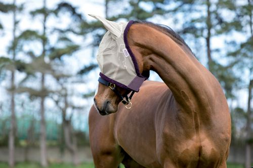 READY TO SHIP: Amigo Finemesh Fly Mask - Pony - Silver/Plum