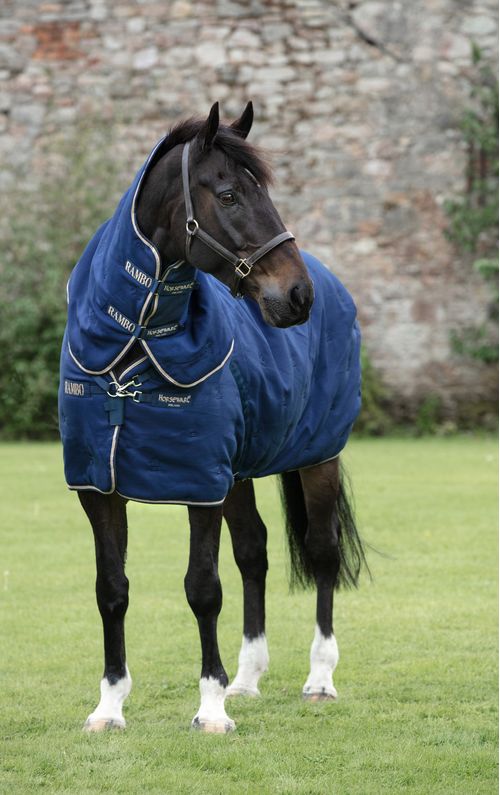 READY TO SHIP: Rambo Deluxe Stable Plus 200g - 75 - Navy/Champagne/Navy