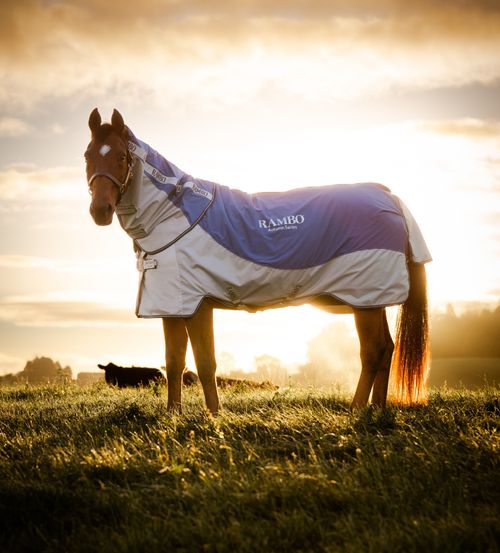 Rambo Autumn Series - Navy/Grey