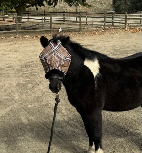 Kensington Mini/Pony Fleece Trim Fly Mask - Deluxe Black