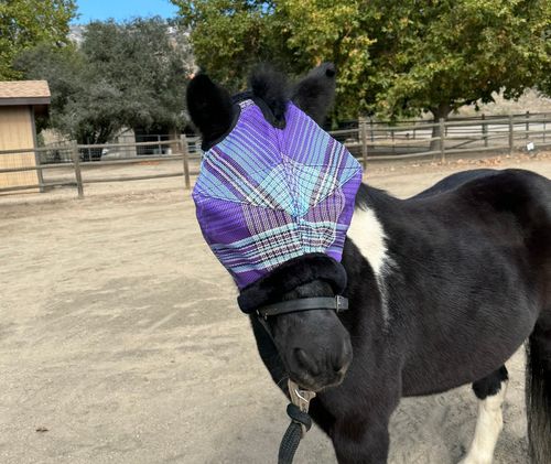 Kensington Mini/Pony Fleece Trim Fly Mask - Lavender Mint