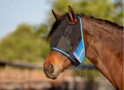 Kensington UV CatchMask w/Ear Openings - Kentucky Blue